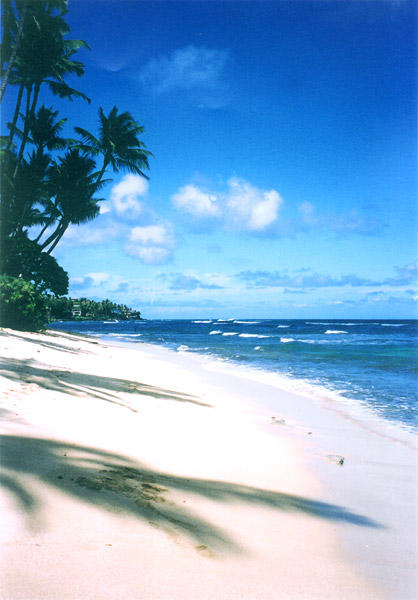 http://www.windsurfer.ru/images/repository/Hawaii01.jpg